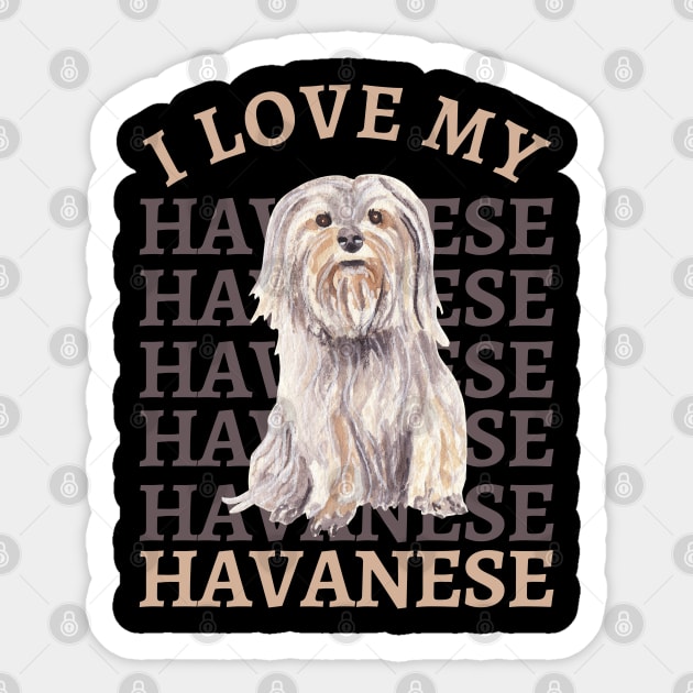 My havanese online